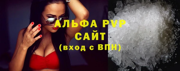 мдпв Гусев