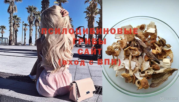 MDMA Premium VHQ Гусиноозёрск