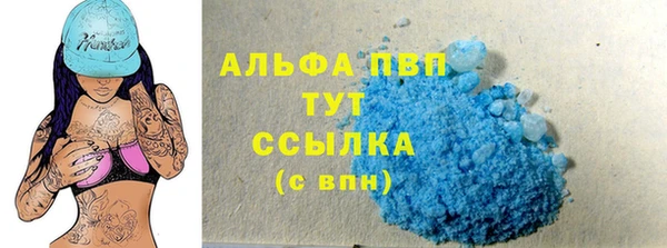 мдпв Гусев