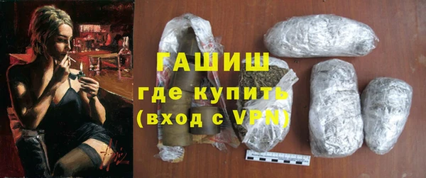 мдпв Гусев