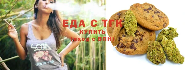 мдпв Гусев