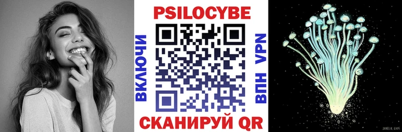 Купить закладки  Кимовск  Галлюциногенные грибы Psilocybe 